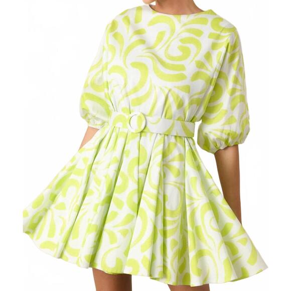 NEW PROSPERINA fallon swing dress in brush strokes print